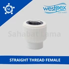 Fitting PPR Straight Thread Male Westpex 63x2 (S63-2M) 1