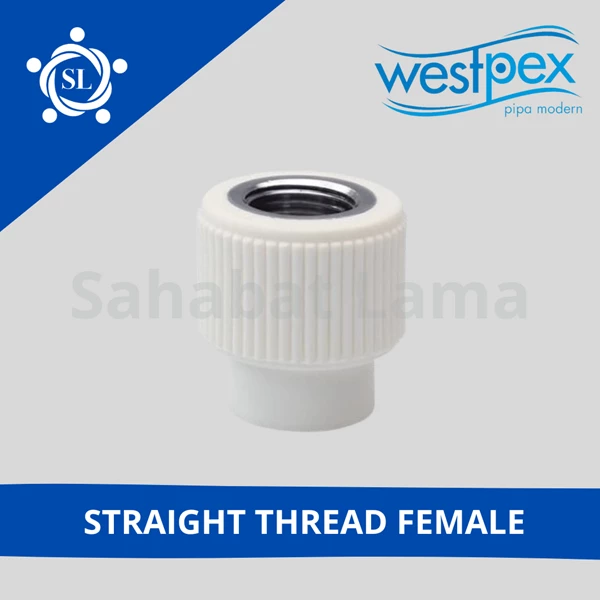 Fitting PPR Straight Thread Male Westpex 63x2 (S63-2M)