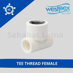 Fitting PPR Tee Thread Female Westpex 20x3/4 (T20-3/4F)